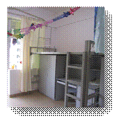Picture 040.jpg